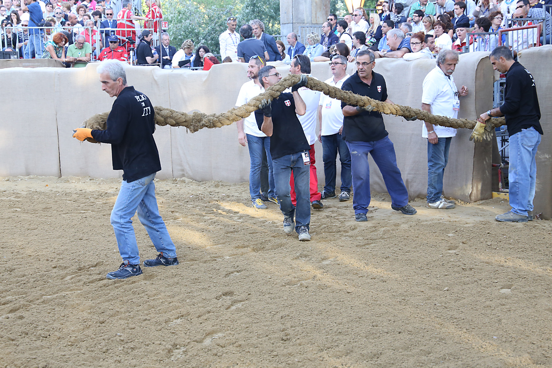 Palio2016_127.jpg