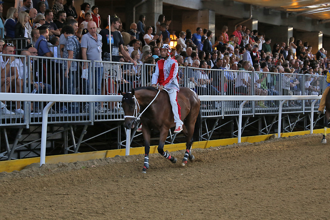 Palio2016_130.jpg