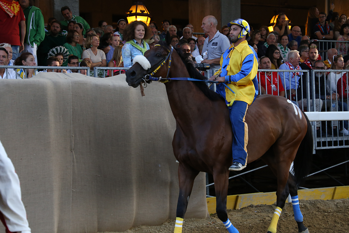 Palio2016_131.jpg