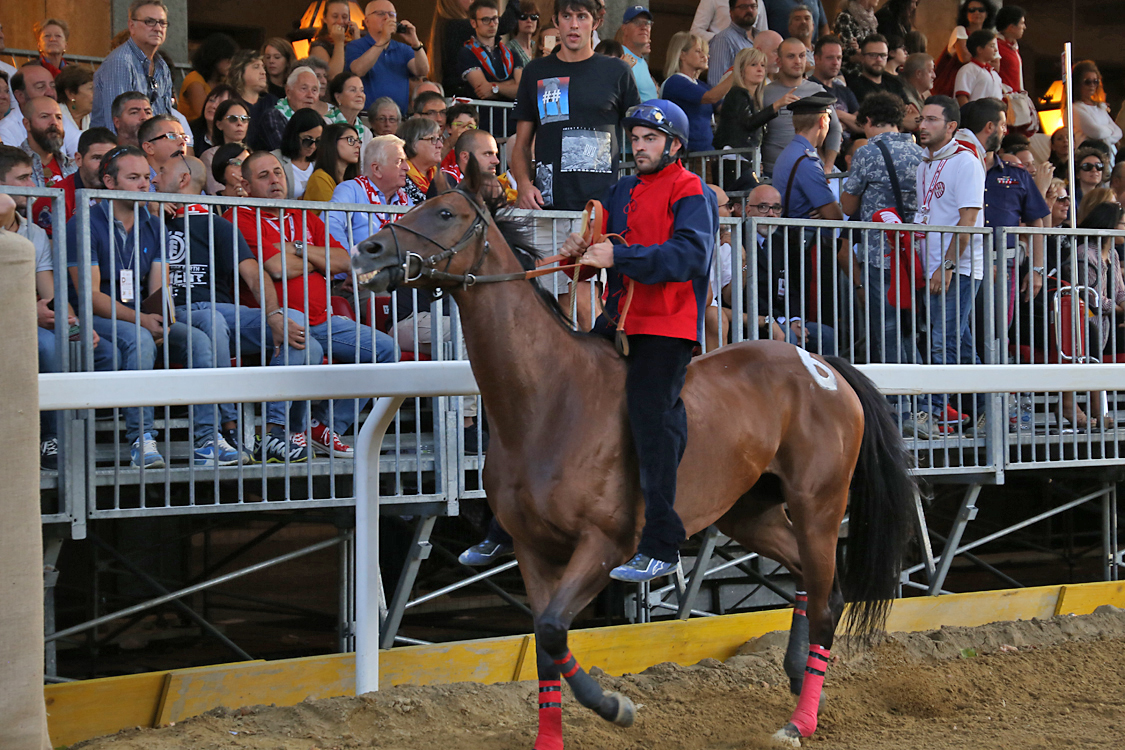 Palio2016_132.jpg