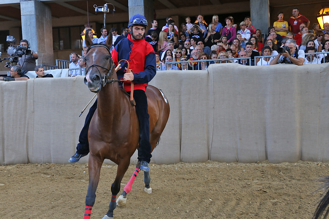Palio2016_134.jpg