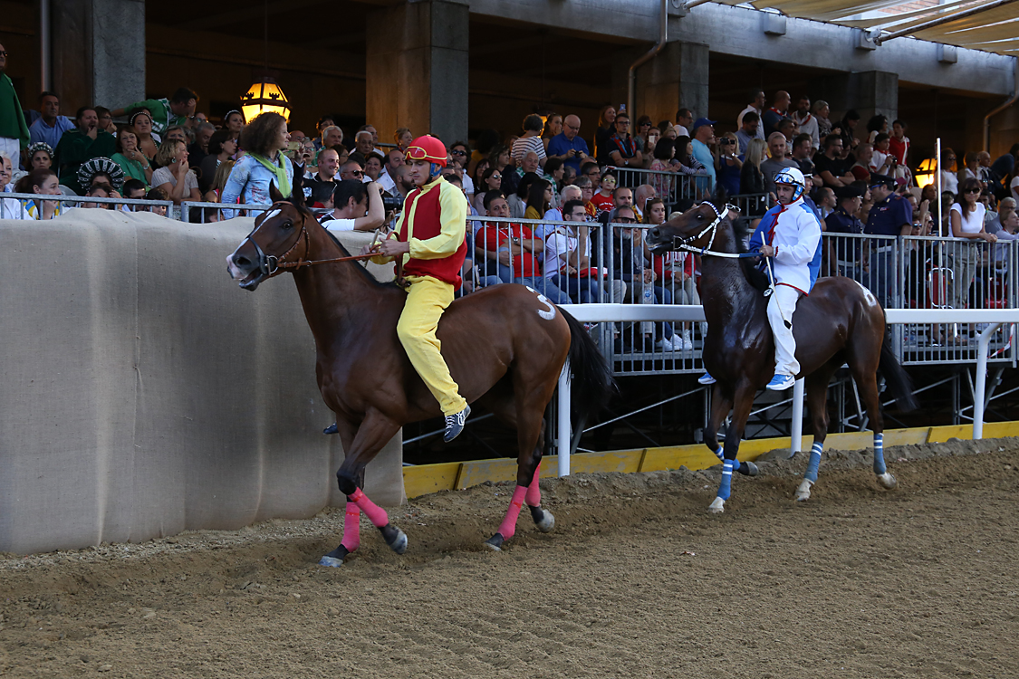 Palio2016_139.jpg