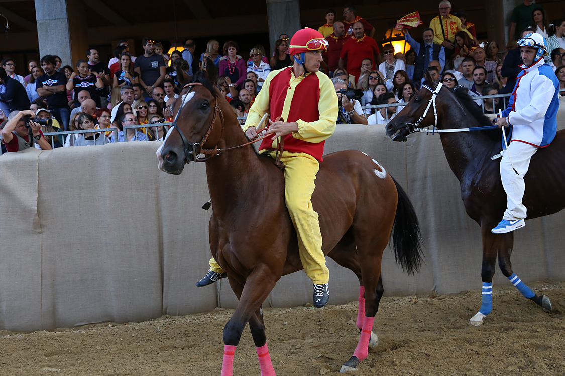 Palio2016_140.jpg