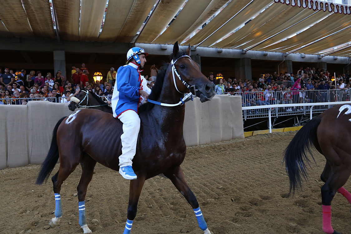 Palio2016_141.jpg