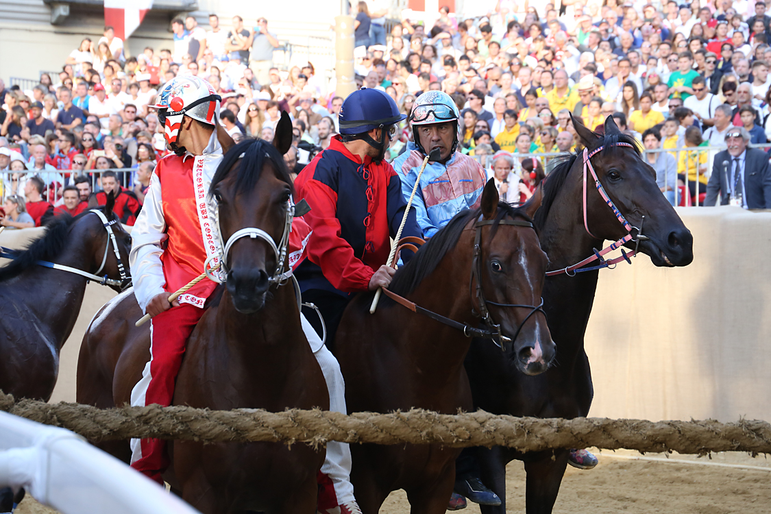 Palio2016_148.jpg