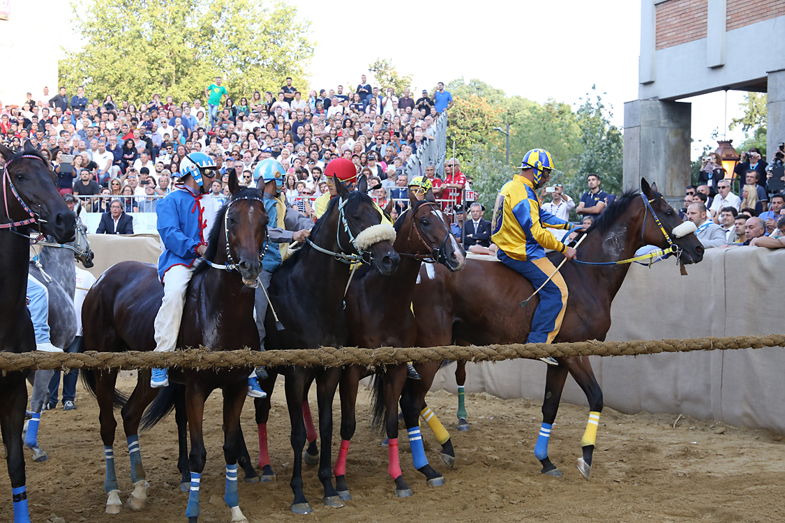 Palio2016_154.jpg