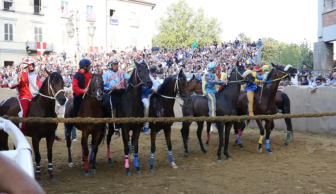 Palio2016_155.jpg