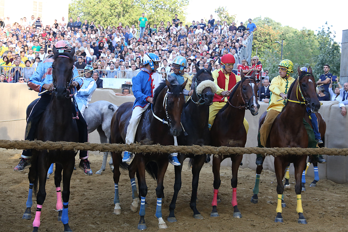 Palio2016_156.jpg