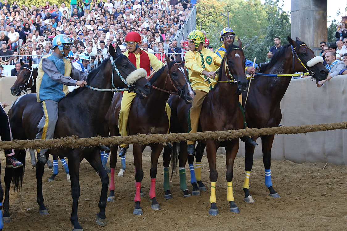 Palio2016_159.jpg