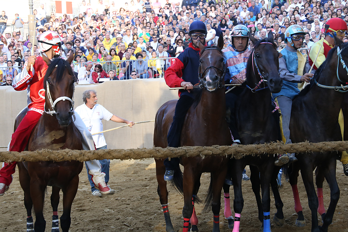 Palio2016_162.jpg