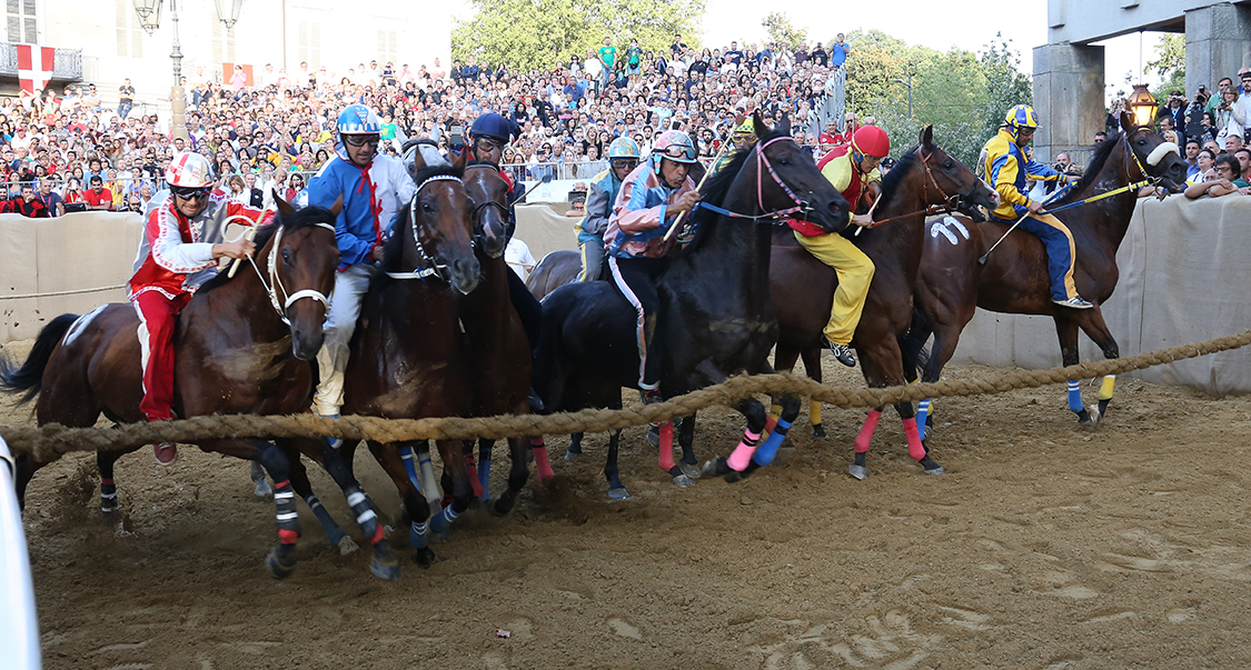 Palio2016_164.jpg