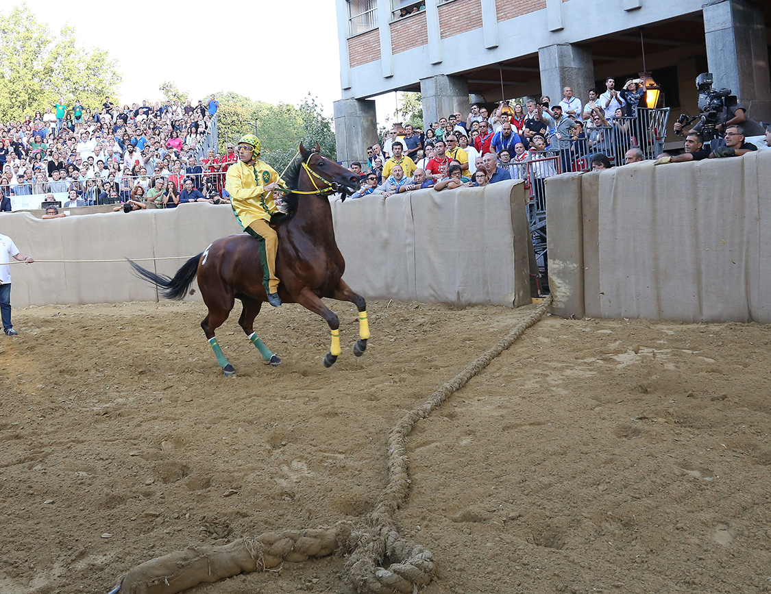Palio2016_165.jpg