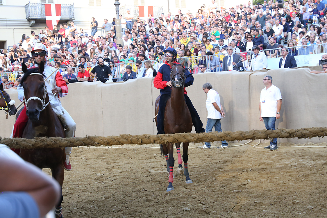 Palio2016_166.jpg