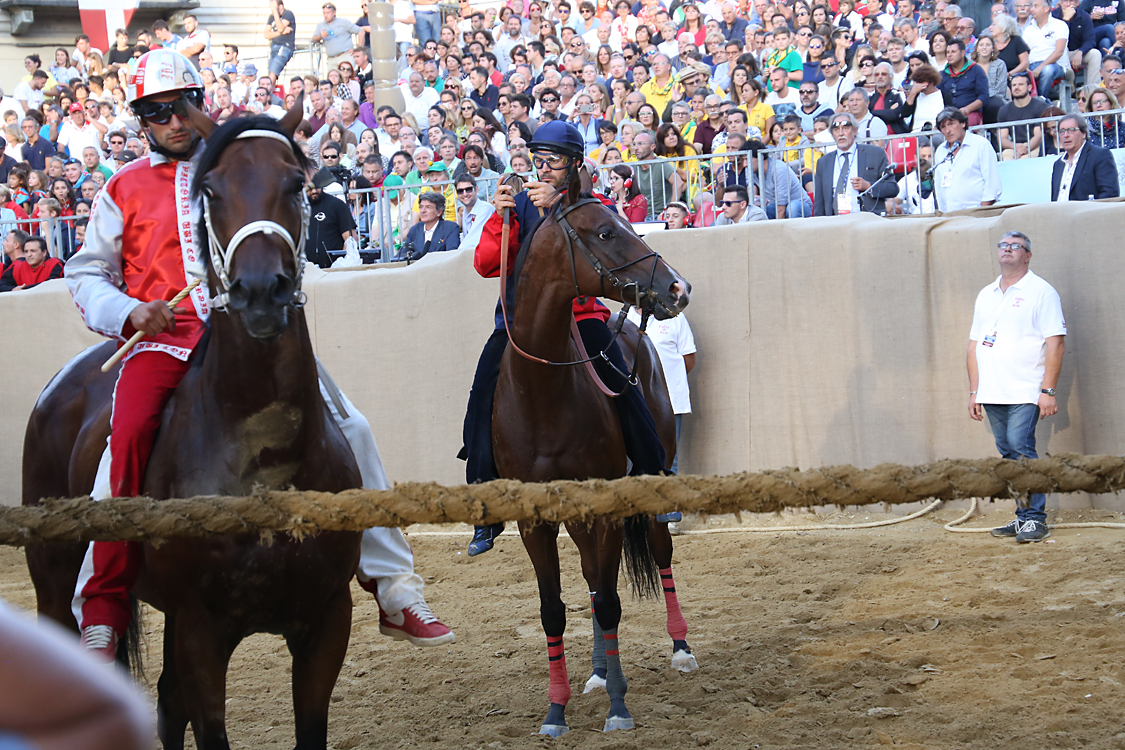Palio2016_167.jpg
