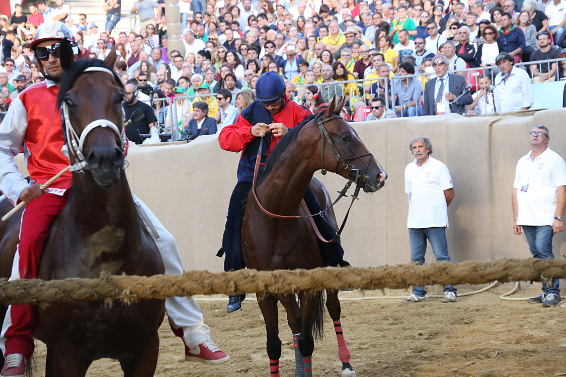 Palio2016_168.jpg