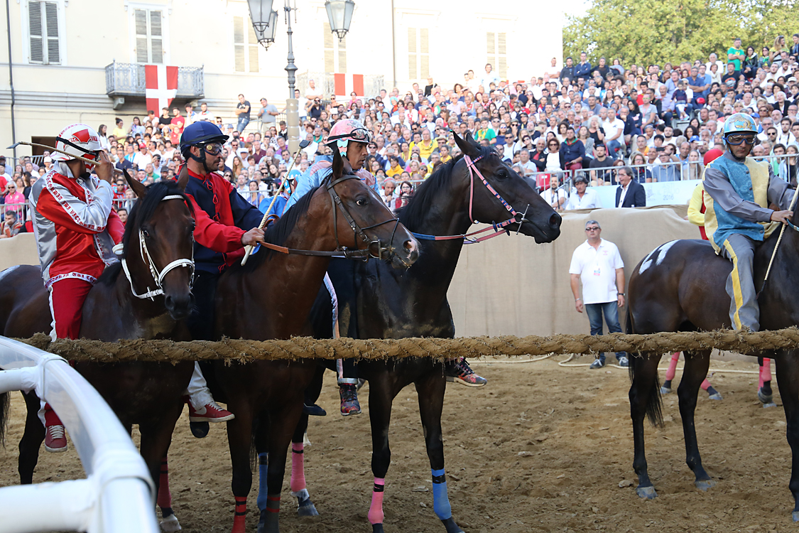 Palio2016_172.jpg
