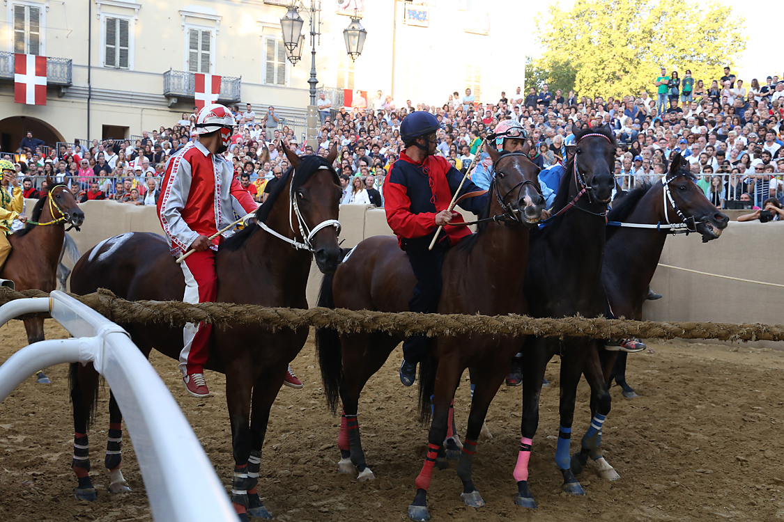 Palio2016_189.jpg