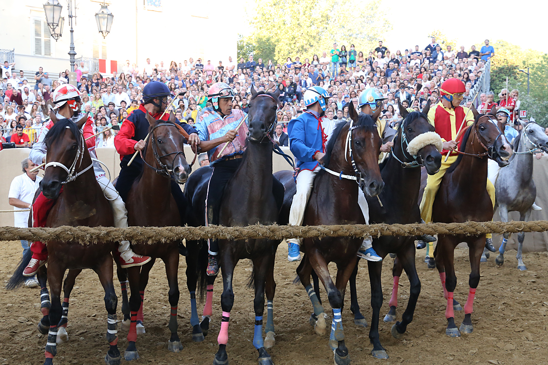 Palio2016_191.jpg