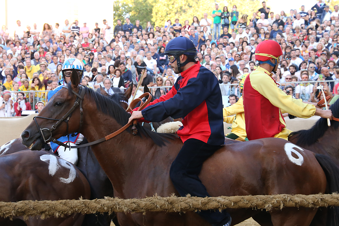 Palio2016_192.jpg