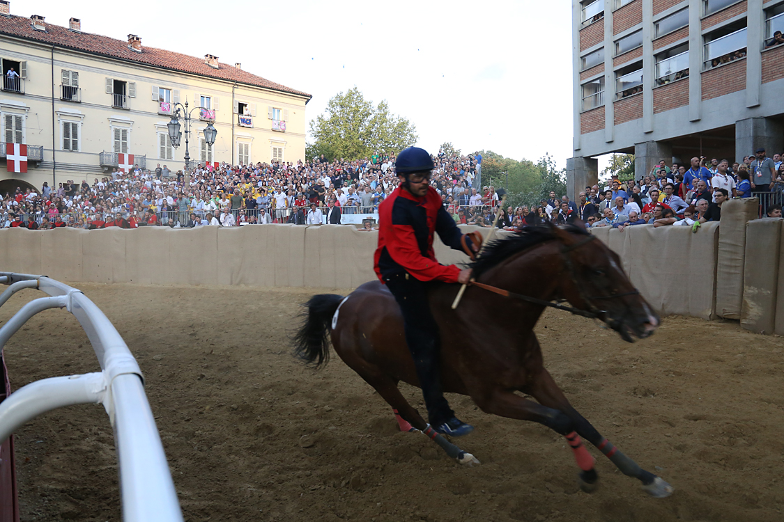 Palio2016_197.jpg