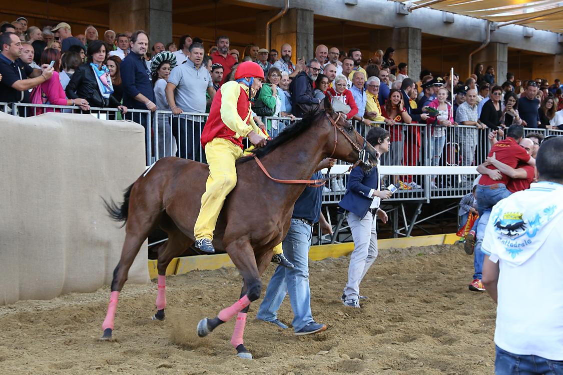 Palio2016_203.jpg