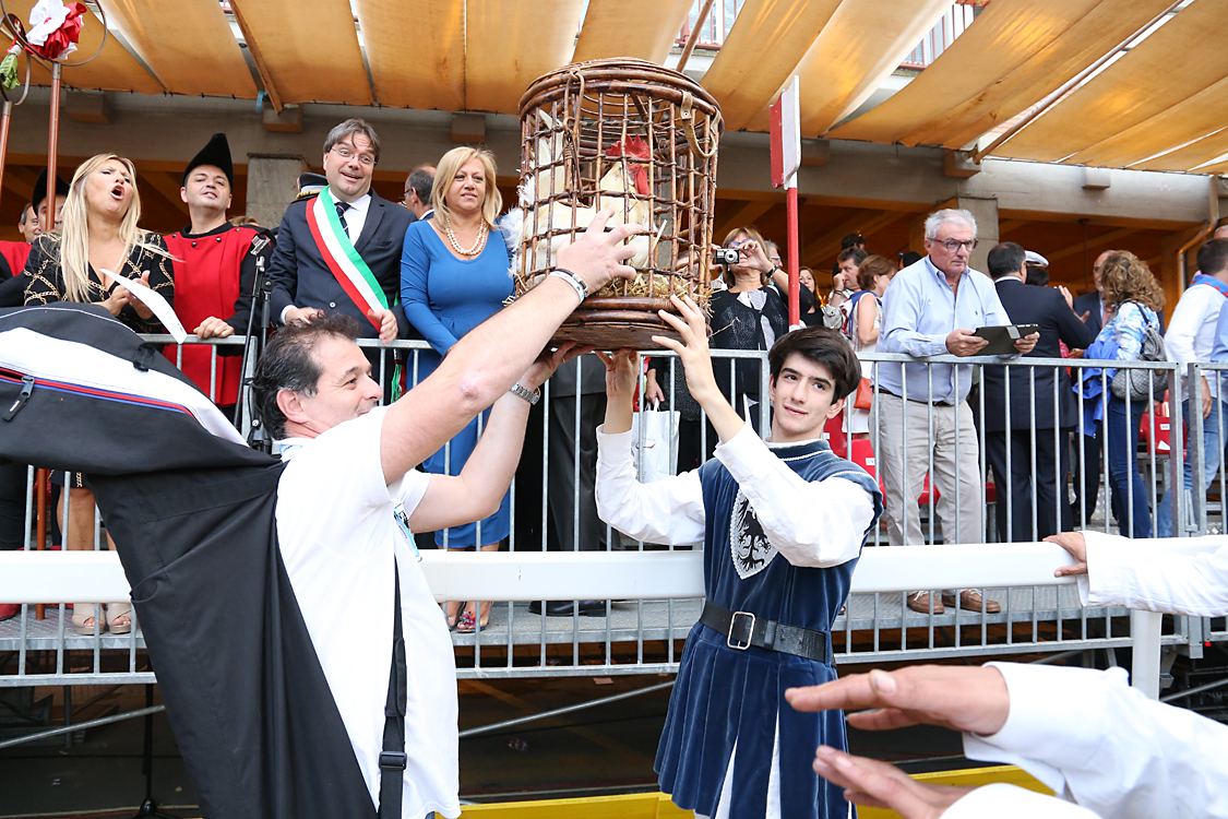 Palio2016_237.jpg