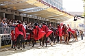 Palio2016_002