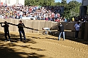 Palio2016_008