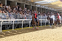 Palio2016_010