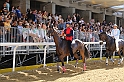 Palio2016_011
