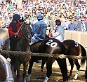 Palio2016_015