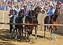 Palio2016_016