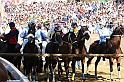 Palio2016_017