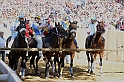 Palio2016_018