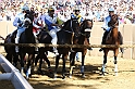 Palio2016_019