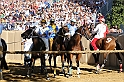 Palio2016_020