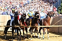 Palio2016_022