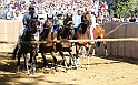 Palio2016_023