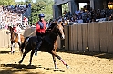 Palio2016_026