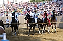 Palio2016_027