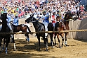 Palio2016_028