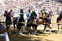 Palio2016_029
