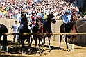 Palio2016_030