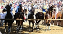 Palio2016_032