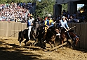 Palio2016_033
