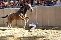 Palio2016_034