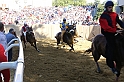 Palio2016_036