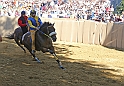 Palio2016_037