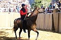 Palio2016_038