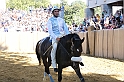 Palio2016_039